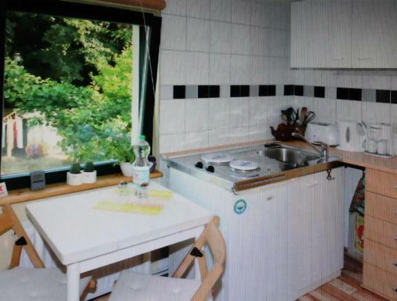 Apartment - Haus Helene Leipzig Dış mekan fotoğraf